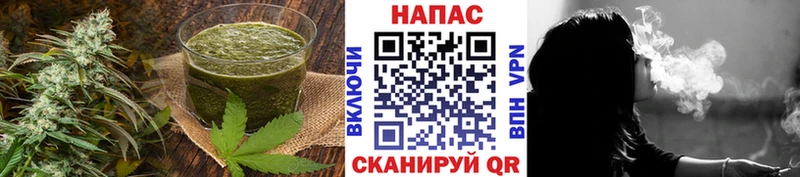 Купить закладки  Жуковский  Печенье с ТГК марихуана 