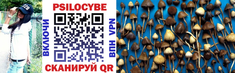 Псилоцибиновые грибы мицелий  Купить  Жуковский 